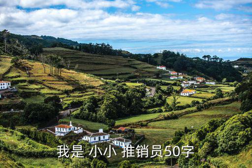小小推銷員,我是a推銷員向你推銷一款產品