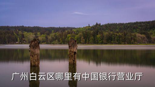 廣州白云區哪里有中國銀行營業廳