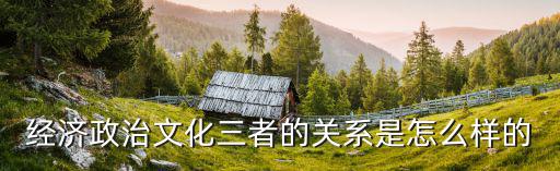 文化政治，經濟文化政治 社會分別指的是什么