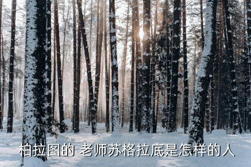  柏拉圖的 老師蘇格拉底是怎樣的人