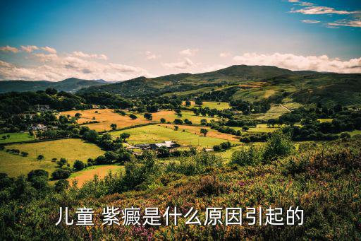紫癜是什么引起的,關于過敏紫癜的介紹