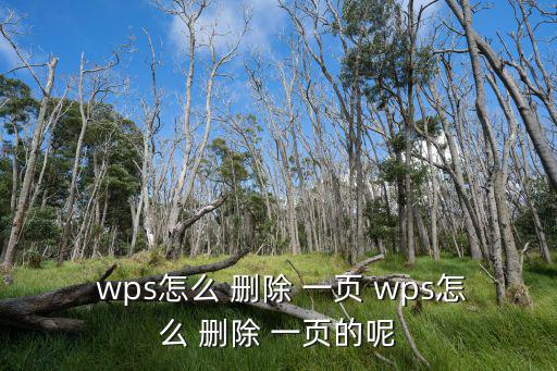  wps怎么 刪除 一頁 wps怎么 刪除 一頁的呢