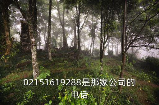 02151619288是那家公司的電話