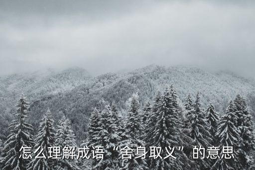 怎么理解成語(yǔ)“舍身取義”的意思
