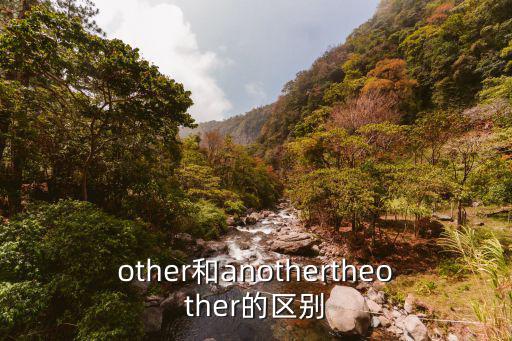 other和anothertheother的區別