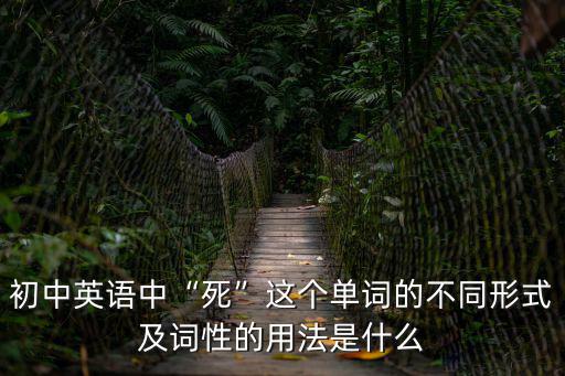 初中英語中“死”這個單詞的不同形式及詞性的用法是什么