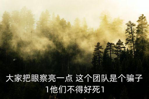大家把眼察亮一點(diǎn) 這個(gè)團(tuán)隊(duì)是個(gè)騙子1他們不得好死1