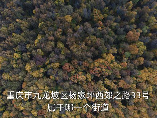 重慶市九龍坡區(qū)楊家坪西街，重慶市九龍坡區(qū)楊家坪西郊之路33號屬于哪一個街道