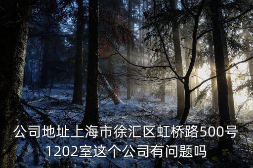 公司地址上海市徐匯區(qū)虹橋路500號(hào)1202室這個(gè)公司有問(wèn)題嗎