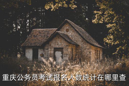 重慶公務員考試報名人數統計在哪里查