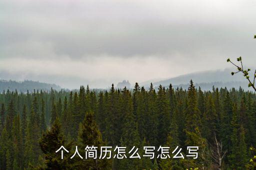 個(gè)人簡(jiǎn)歷怎么寫怎么寫