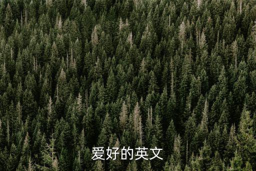 愛好的英文