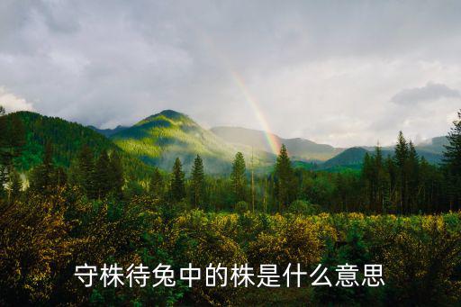 株的詞語，守株待兔中的株是什么意思