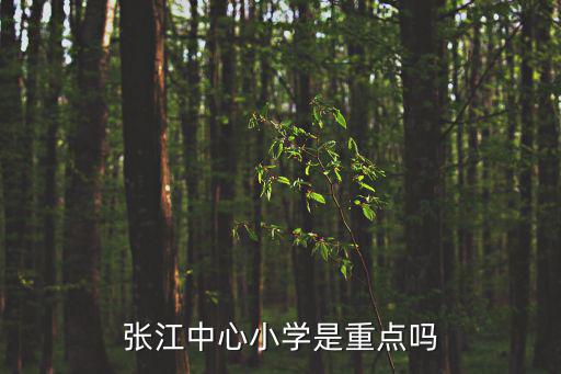 張江中心小學是重點嗎