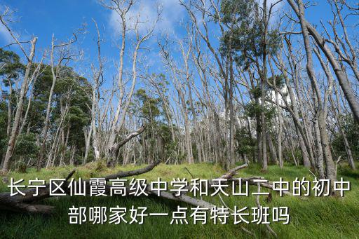 長(zhǎng)寧區(qū)仙霞高級(jí)中學(xué)和天山二中的初中部哪家好一點(diǎn)有特長(zhǎng)班嗎
