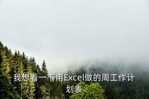 我想看一下用Excel做的周工作計劃表