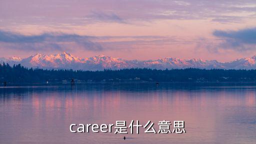 career是什么意思