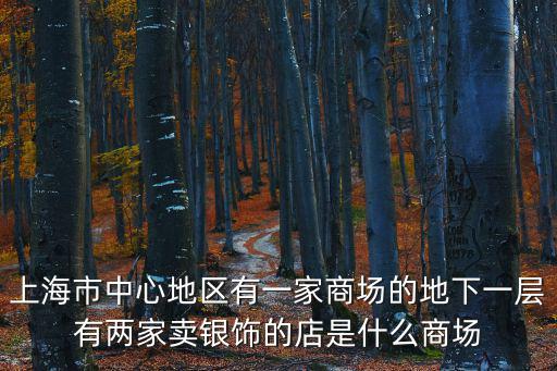 上海市中心地區有一家商場的地下一層有兩家賣銀飾的店是什么商場