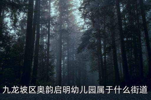 九龍坡區奧韻啟明幼兒園屬于什么街道
