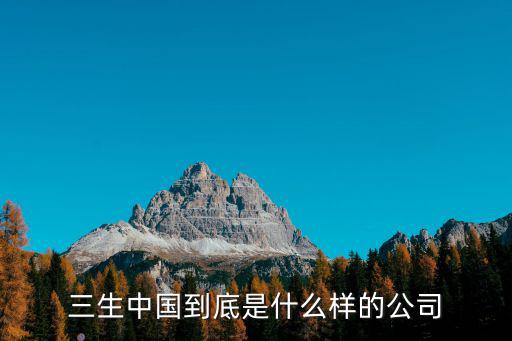 三生中國到底是什么樣的公司