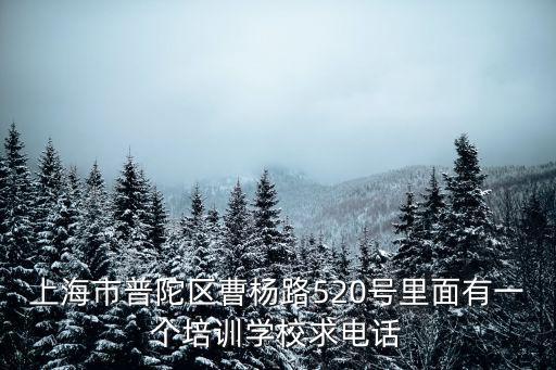 上海市普陀區(qū)曹楊路520號(hào)里面有一個(gè)培訓(xùn)學(xué)校求電話