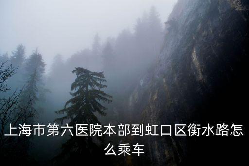 上海市第六醫院本部到虹口區衡水路怎么乘車