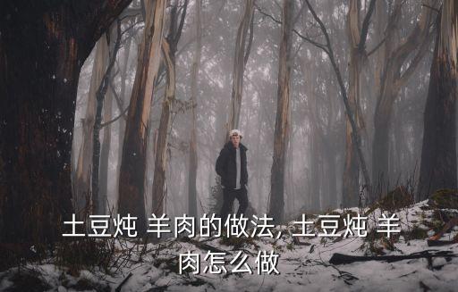  土豆燉 羊肉的做法, 土豆燉 羊肉怎么做