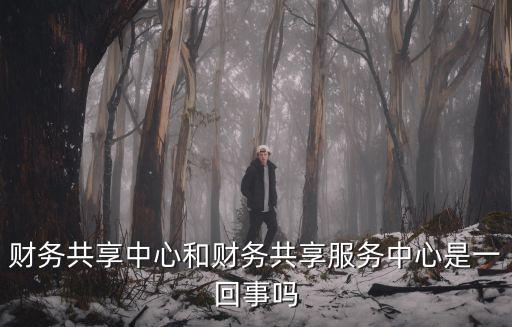 財務共享中心和財務共享服務中心是一回事嗎