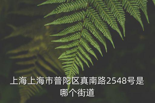 上海市普陀區福興村，上海上海市普陀區真南路2548號是哪個街道