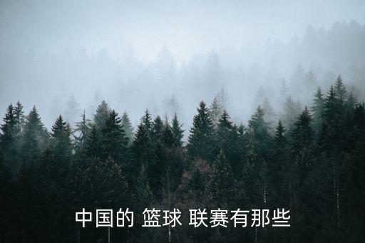 中國的 籃球 聯(lián)賽有那些