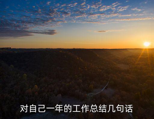 對自己一年的工作總結幾句話