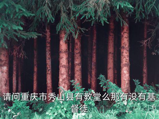 請問重慶市秀山縣有教堂么那有沒有基督徒