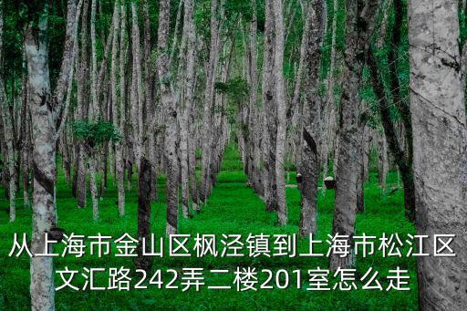 從上海市金山區楓涇鎮到上海市松江區文匯路242弄二樓201室怎么走
