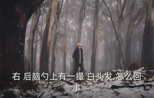 后腦勺白頭發,后腦勺hair白頭發可能是遺傳引起的