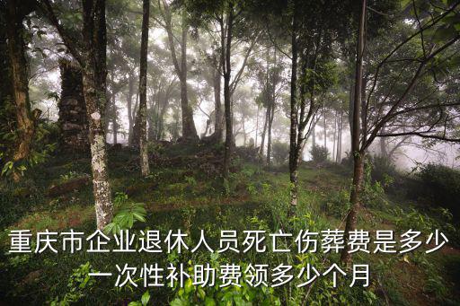 重慶市企業退休人員死亡傷葬費是多少一次性補助費領多少個月