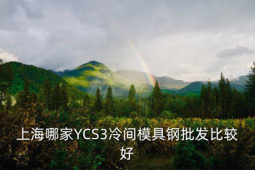 上海哪家YCS3冷間模具鋼批發比較好