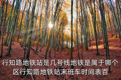 上海市行知路是哪里，上海行知路在什么區(qū)