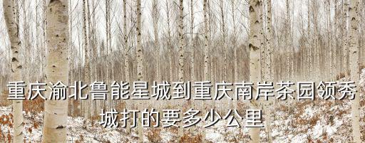 重慶渝北魯能星城到重慶南岸茶園領秀城打的要多少公里