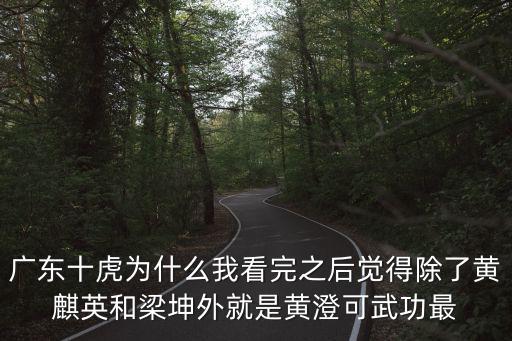 電影廣州十虎黃澄可，廣東十虎為什么我看完之后覺得除了黃麒英和梁坤外就是黃澄可武功最