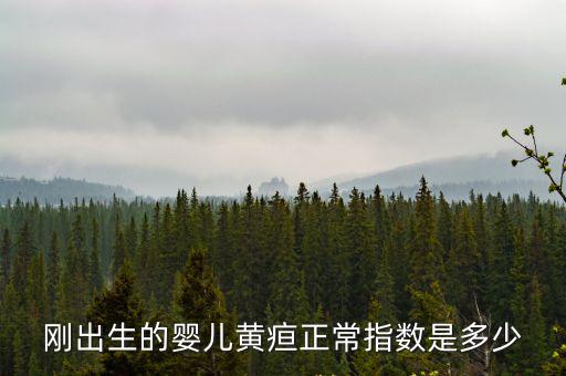 新生兒黃疸指數，寶寶的黃疸指數