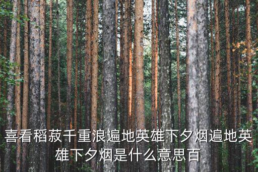喜看稻菽千重浪遍地英雄下夕煙遍地英雄下夕煙是什么意思百