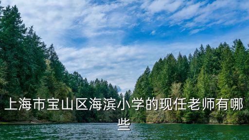 上海市寶山區(qū)海濱小學(xué)的現(xiàn)任老師有哪些
