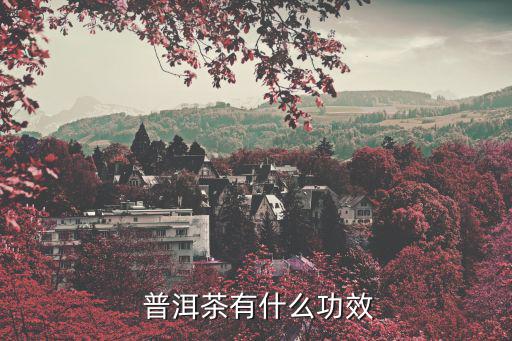  普洱茶有什么功效