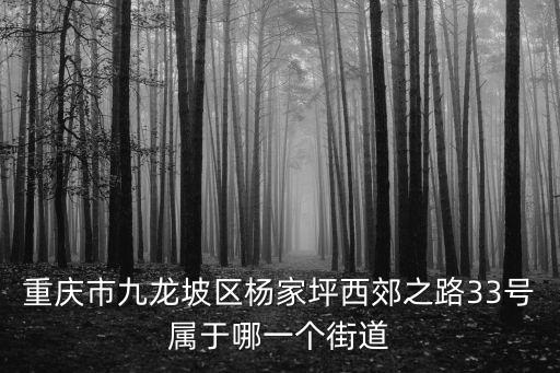 重慶市九龍坡區(qū)楊家坪西郊之路33號(hào)屬于哪一個(gè)街道