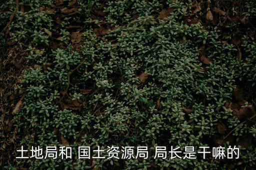 國土局長,雷州市國土資源局今年由黃文舉主持局長全面工作