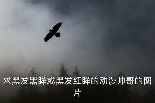 求黑發(fā)黑眸或黑發(fā)紅眸的動(dòng)漫帥哥的圖片