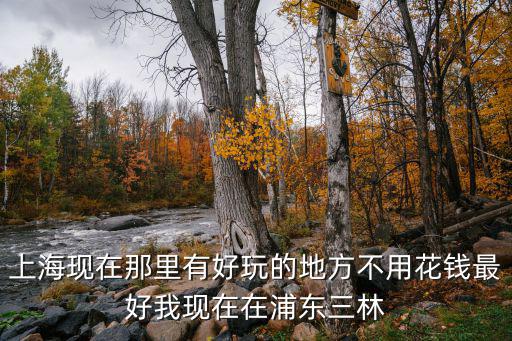 上?，F在那里有好玩的地方不用花錢最好我現在在浦東三林