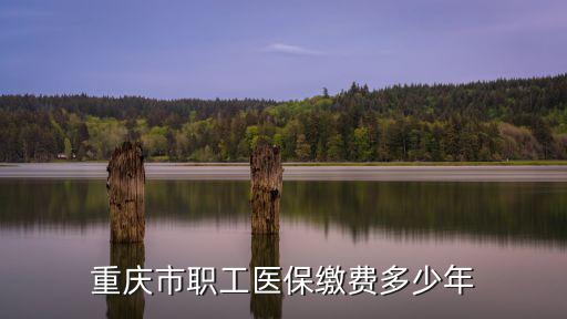 重慶市職工醫保繳費多少年