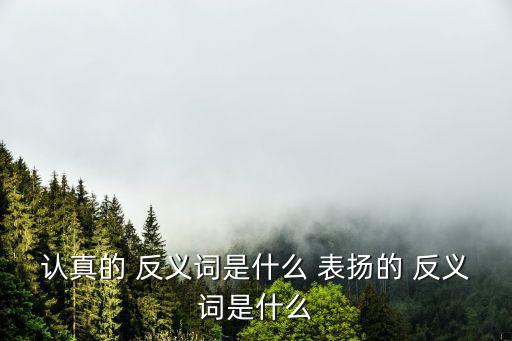 認真的 反義詞是什么 表揚的 反義詞是什么
