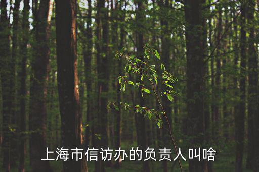 上海市信訪辦的負責人叫啥